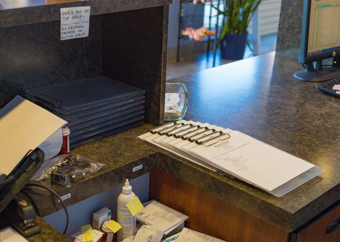 We accept VISA, Mastercard, Discover and CareCredit Vet Services For